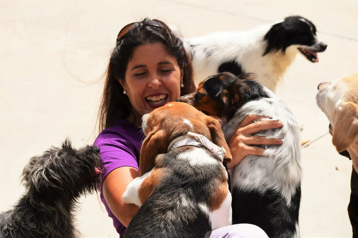 Voluntaria rodeada de perros